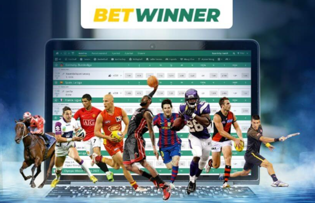 betting sport